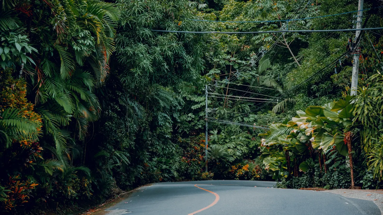 A paved road curving through lush green Costa Rican countryside
