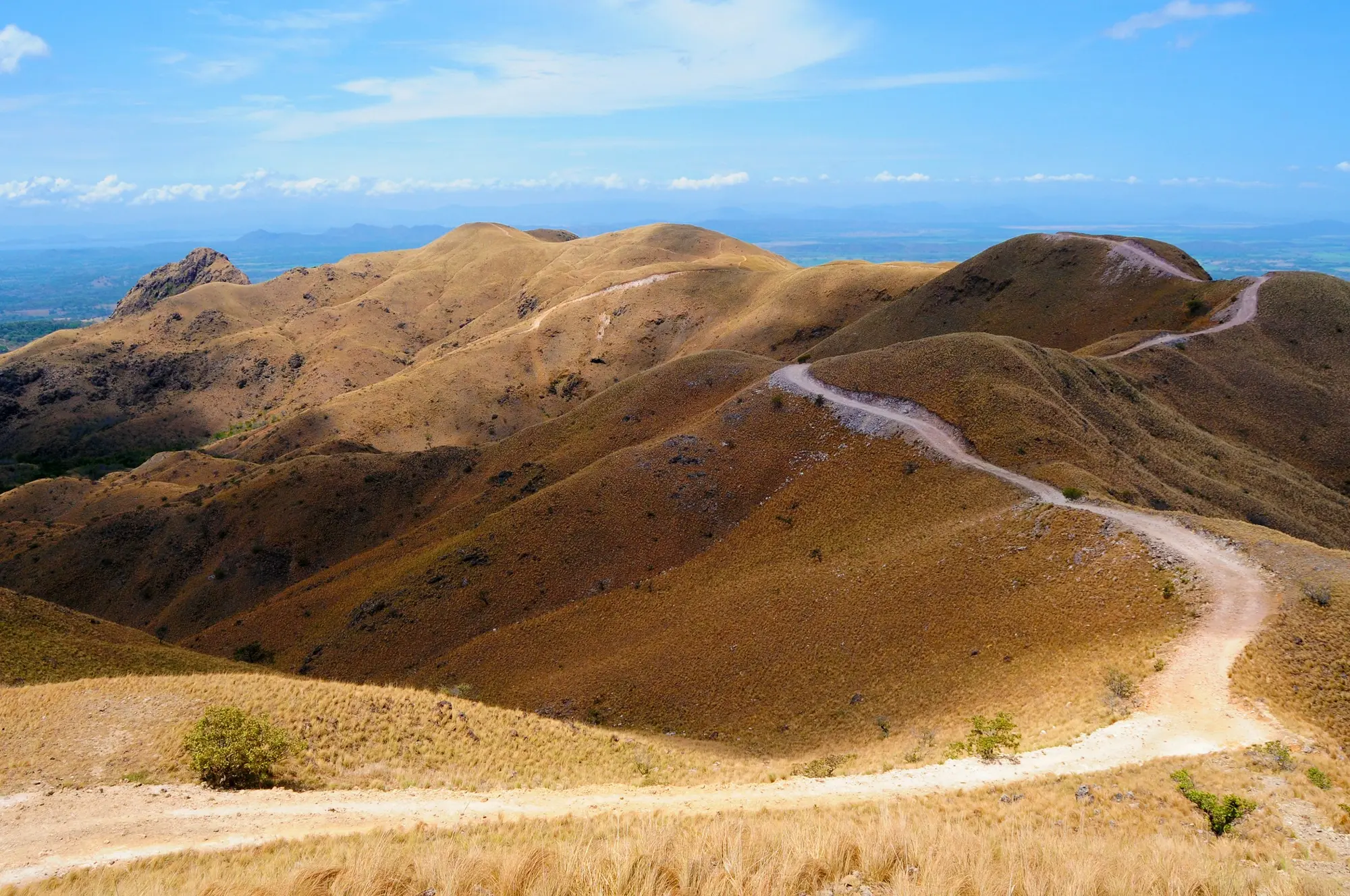 A dirt road winding across dry golden hills in Guanacaste, Costa Rica