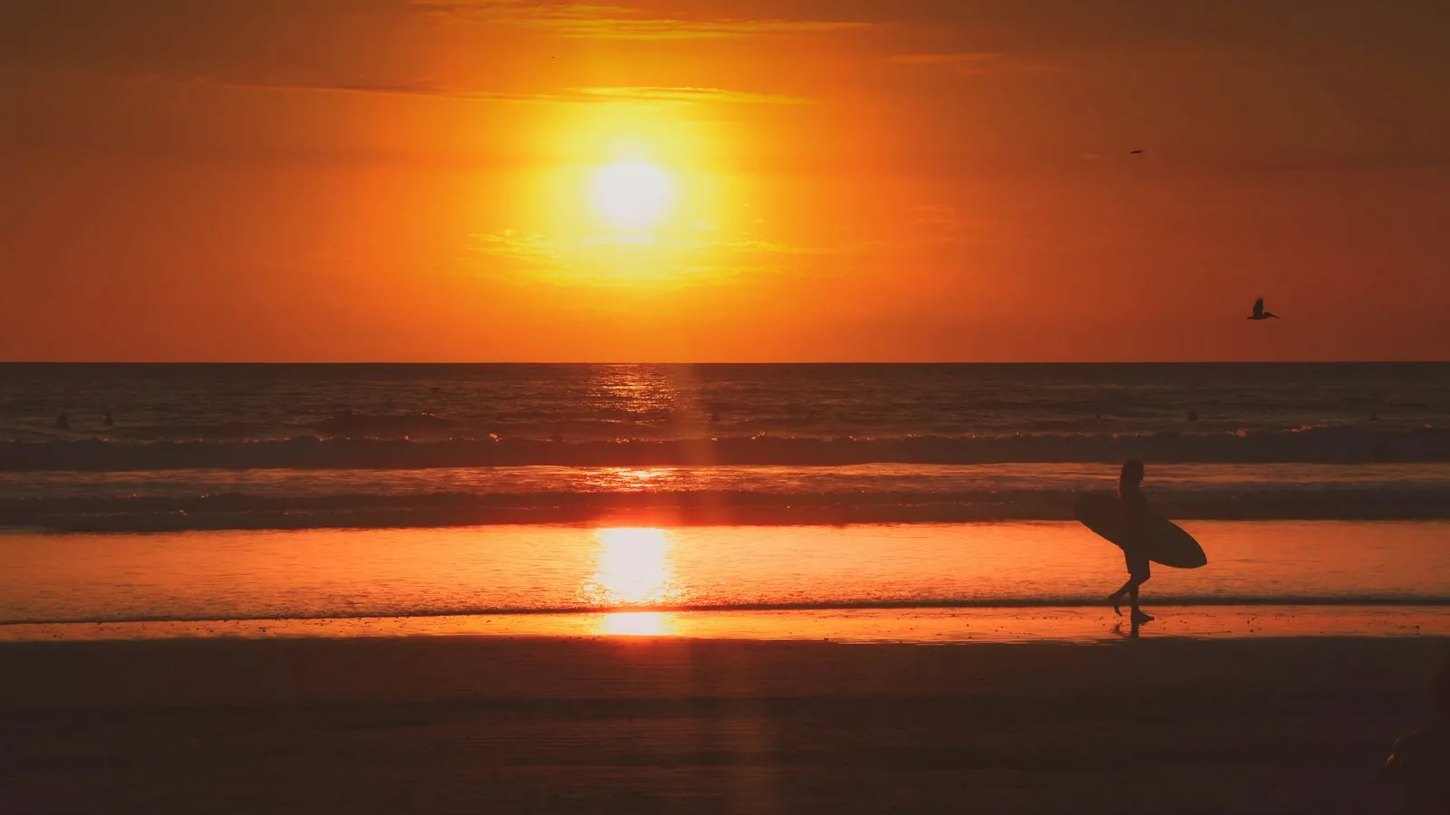 A surfer walking along a Pacific beach at sunset carrying a board, near Nosara, Costa Rica