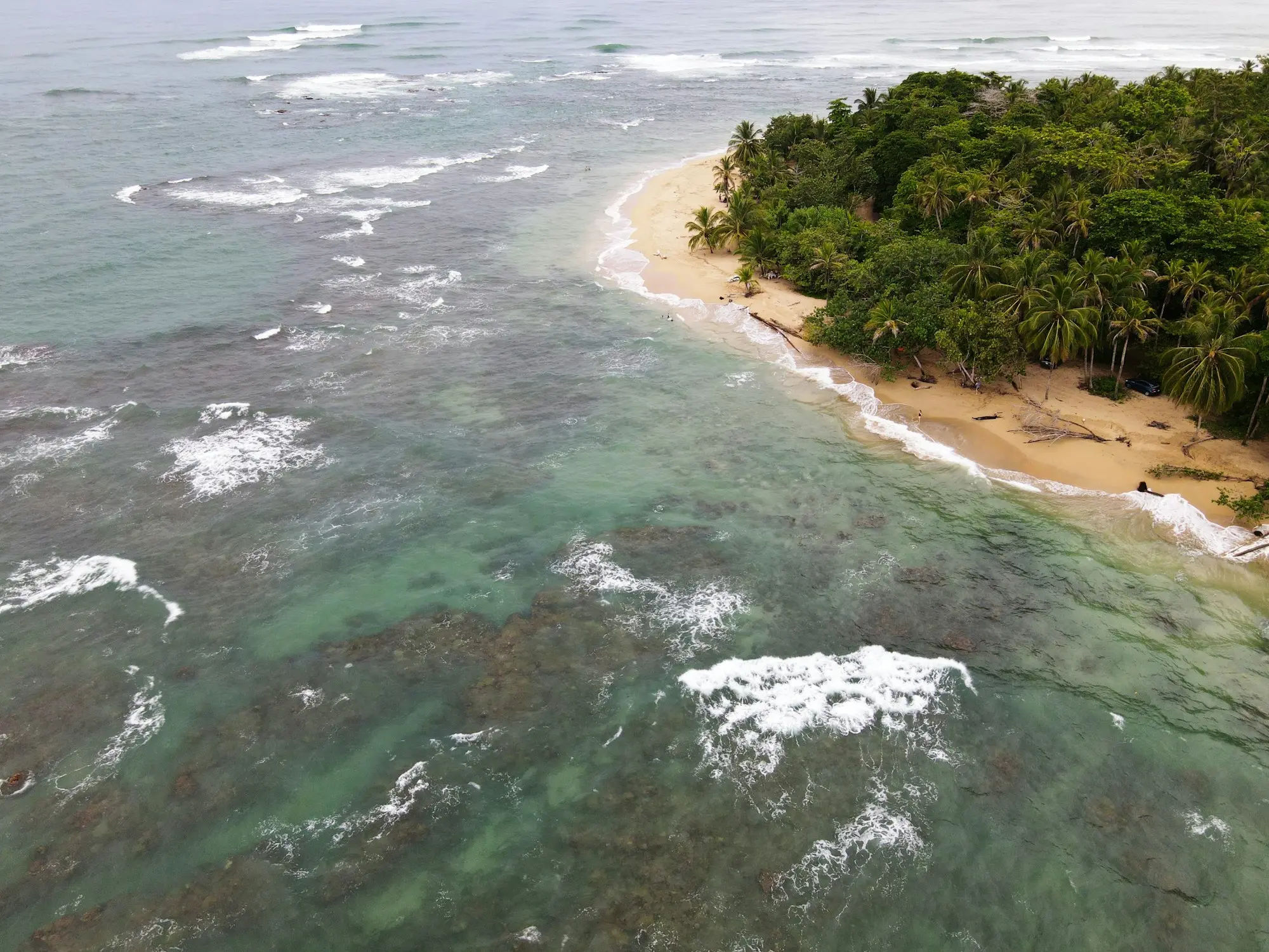 Aerial view of a palm-covered point, golden sand, and reef-dotted water at Punta Uva near Puerto Viejo, Costa Rica