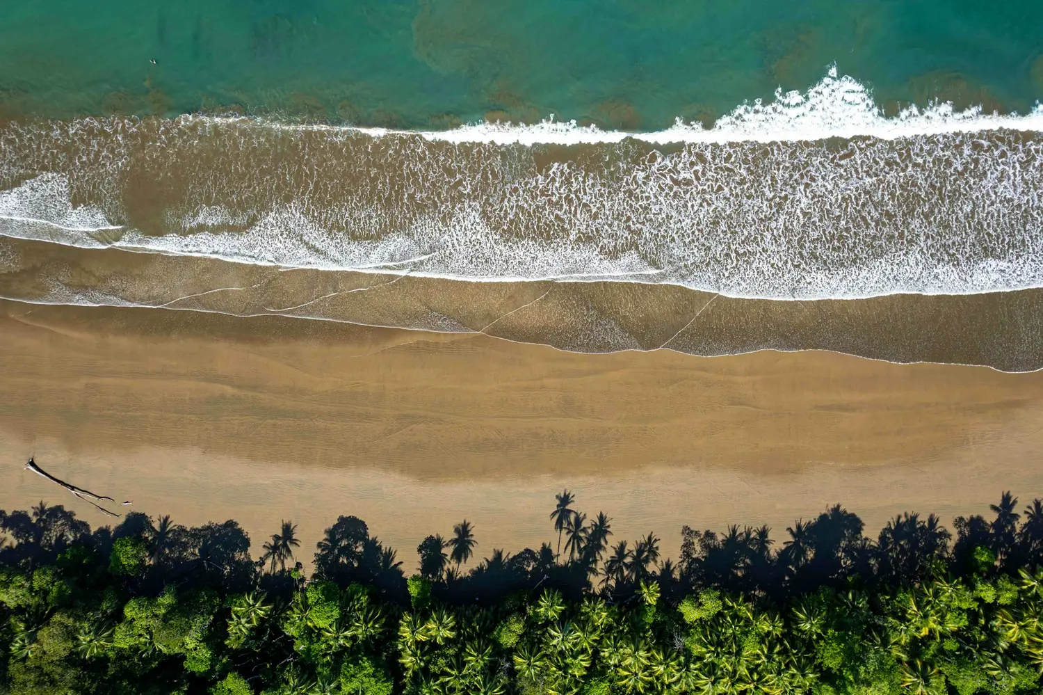 Aerial view of Pacific surf meeting a palm-lined sand beach on Costa Rica's Nicoya Peninsula