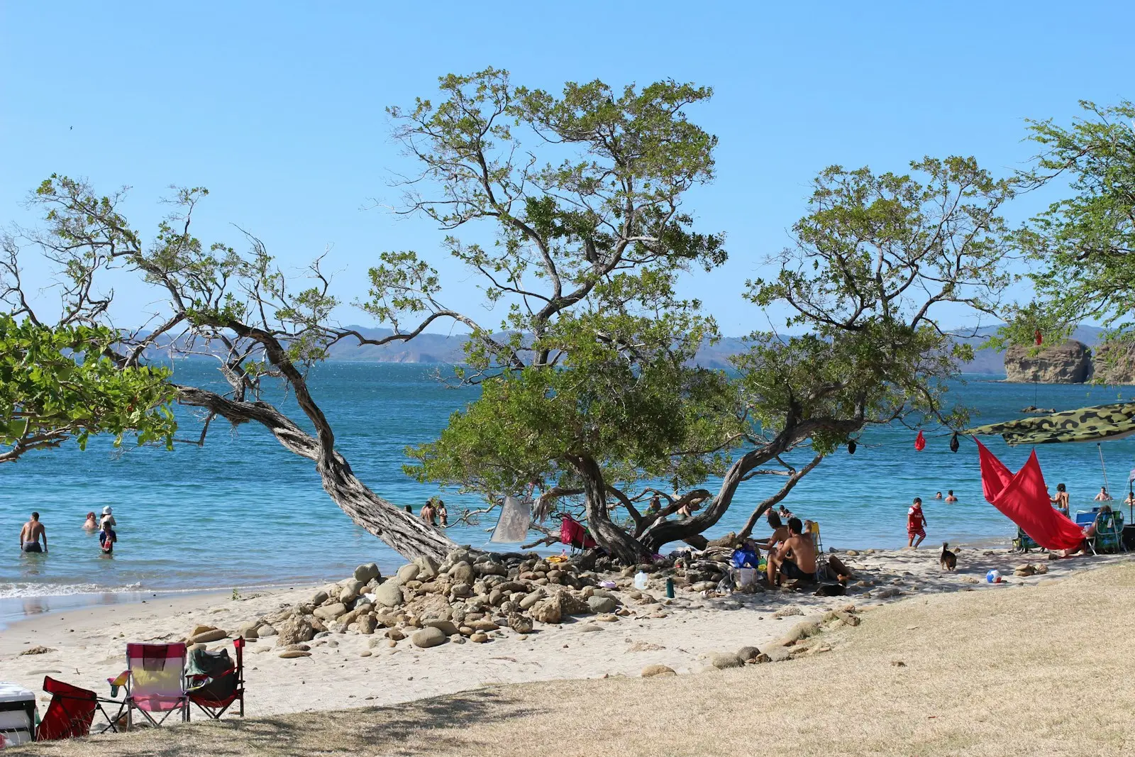 Beachgoers and folding chairs under a shade tree on a sunny Guanacaste beach in dry season