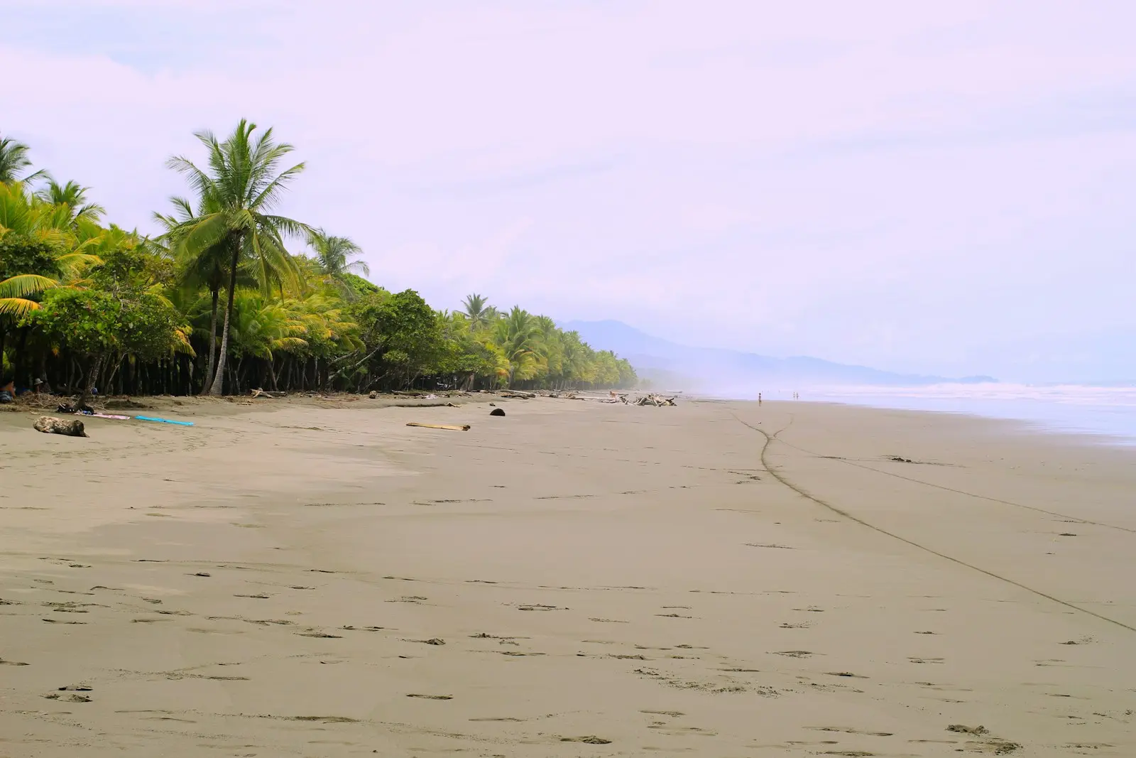 Long grey-sand beach backed by palms and forested hills on Costa Rica's central Pacific coast