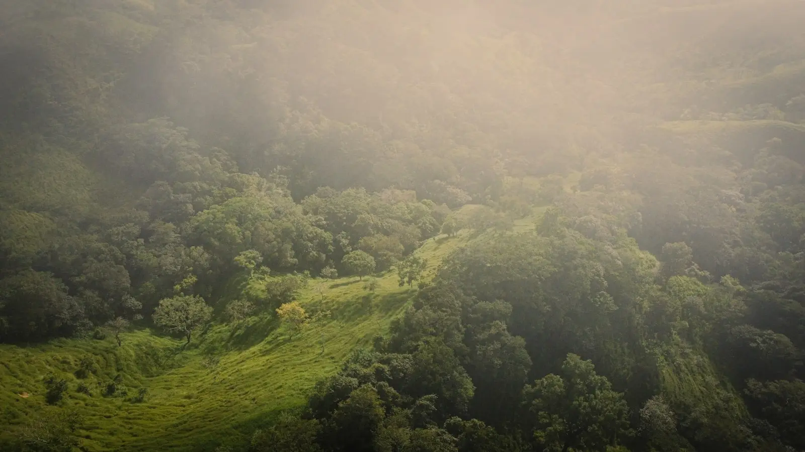 Mist drifting over green forested hills in the Monteverde cloud forest region