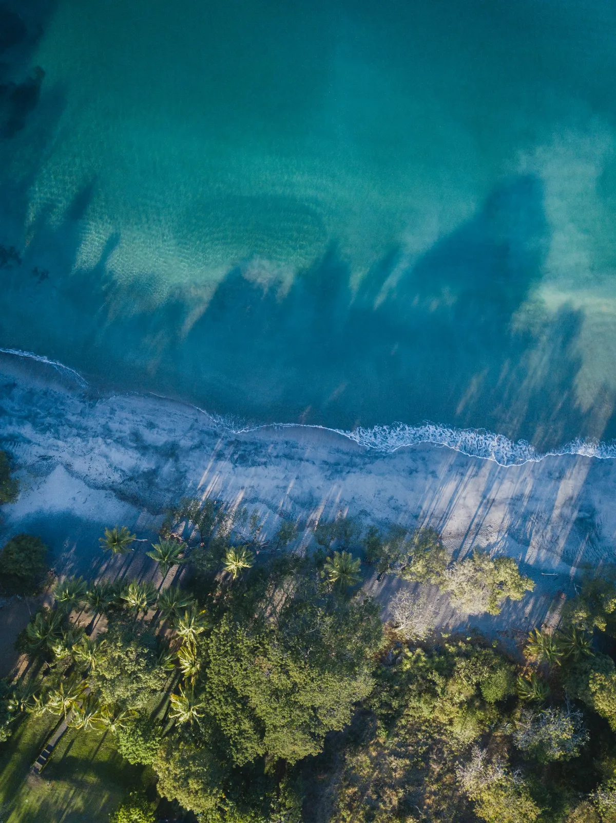 Top-down aerial of calm, clear turquoise Pacific water meeting a palm-lined beach on the Costa Rica coast