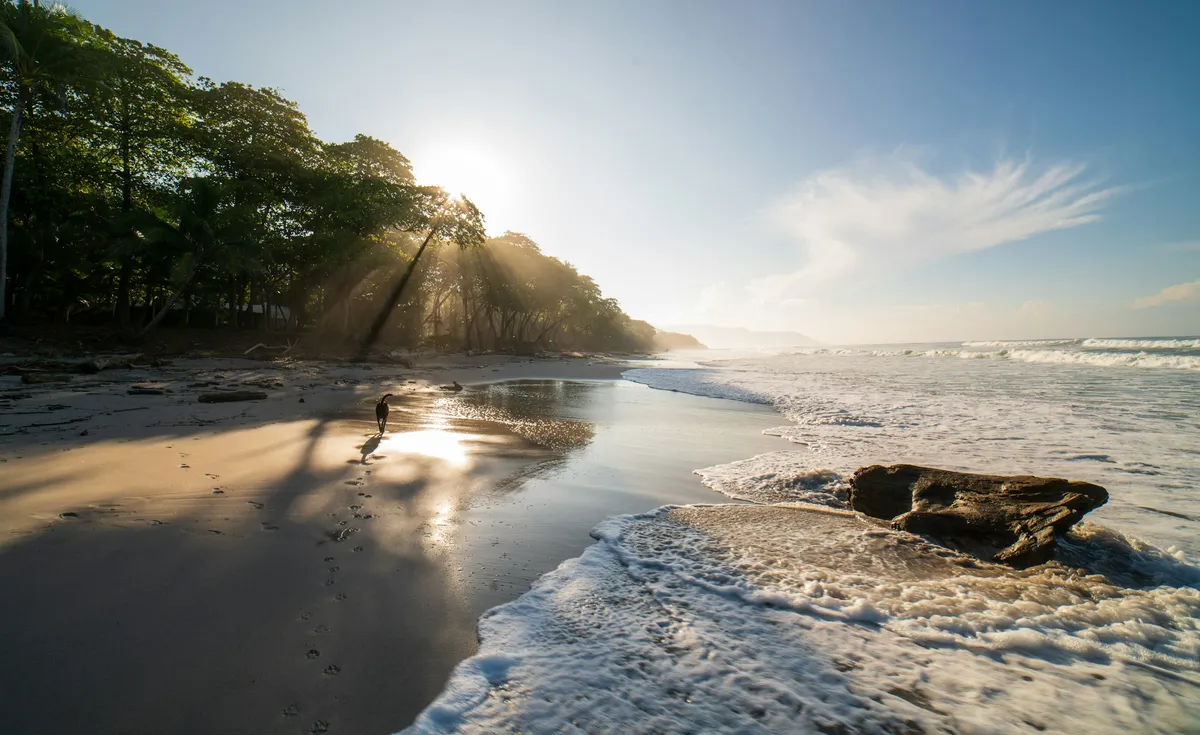 A quiet, palm-backed Pacific beach at golden hour with gentle surf and sun rays over the sand, Costa Rica