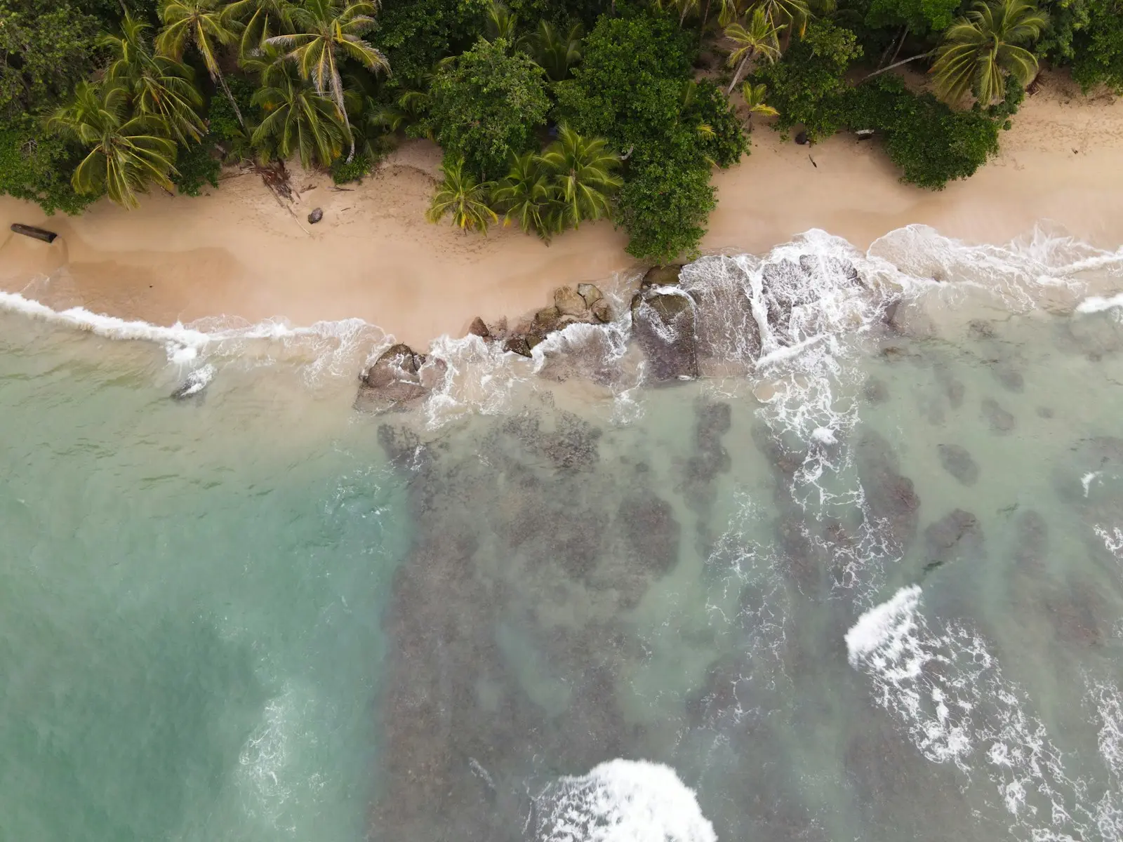 Palms over golden sand and clear reef shallows on the beach at Punta Uva near Puerto Viejo