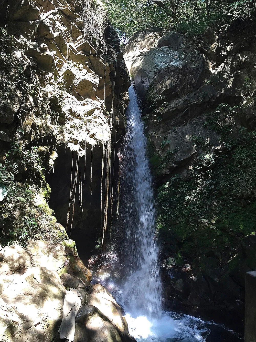 A jungle waterfall dropping into a pool inside Rincón de la Vieja National Park, Guanacaste