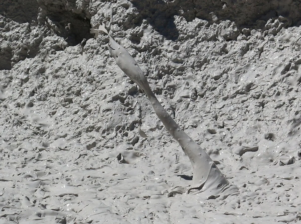 Grey volcanic mud bursting in a bubbling mud pot along the Las Pailas trail at Rincón de la Vieja