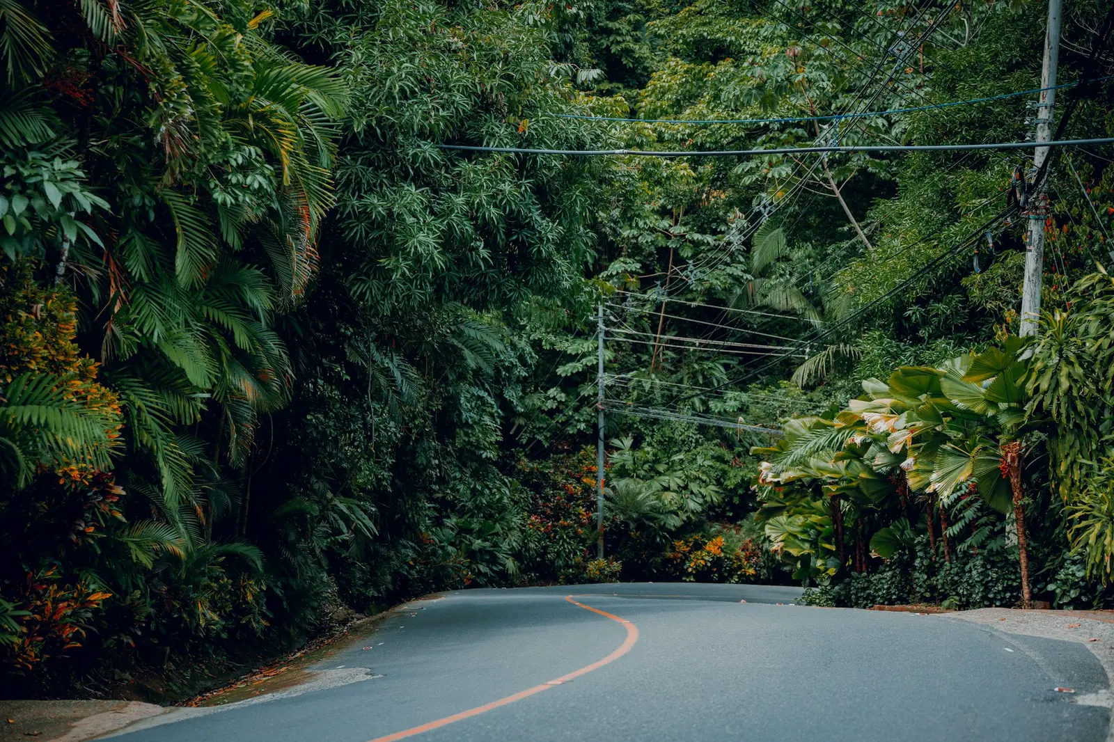 A paved Costa Rica road winding through green jungle on a car rental drive from San Jose