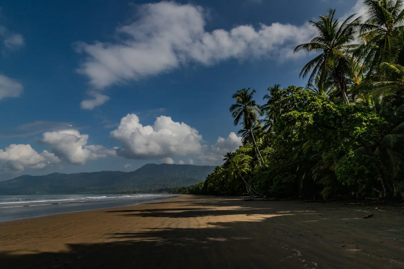 A long, jungle-backed Pacific beach with waves rolling in under a cloudy sky, Nicoya Peninsula, Costa Rica