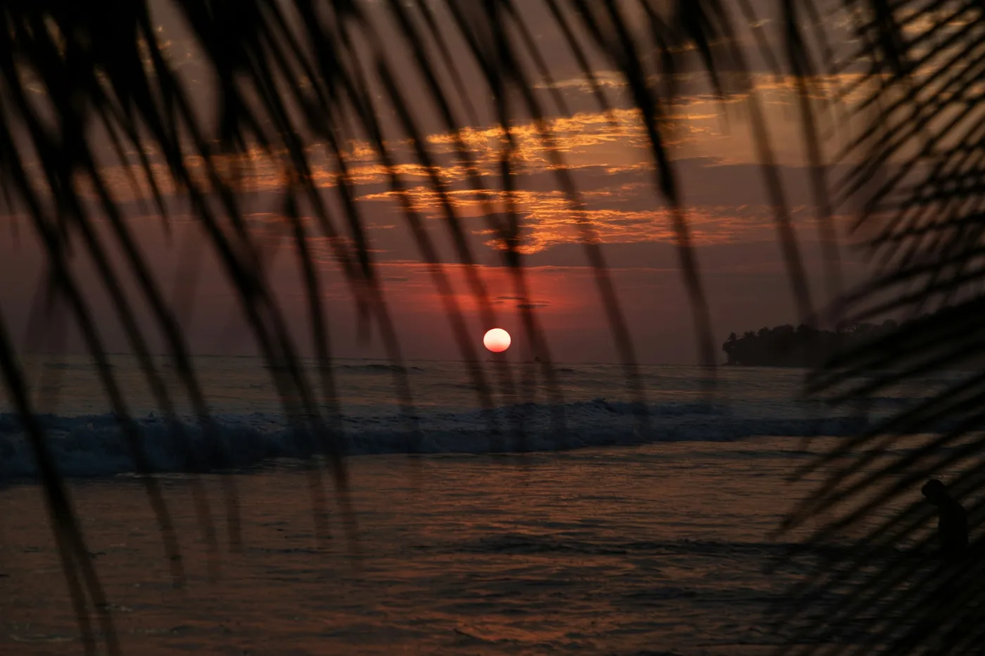 A Pacific sunset glowing orange over the ocean, framed by palm fronds, Costa Rica