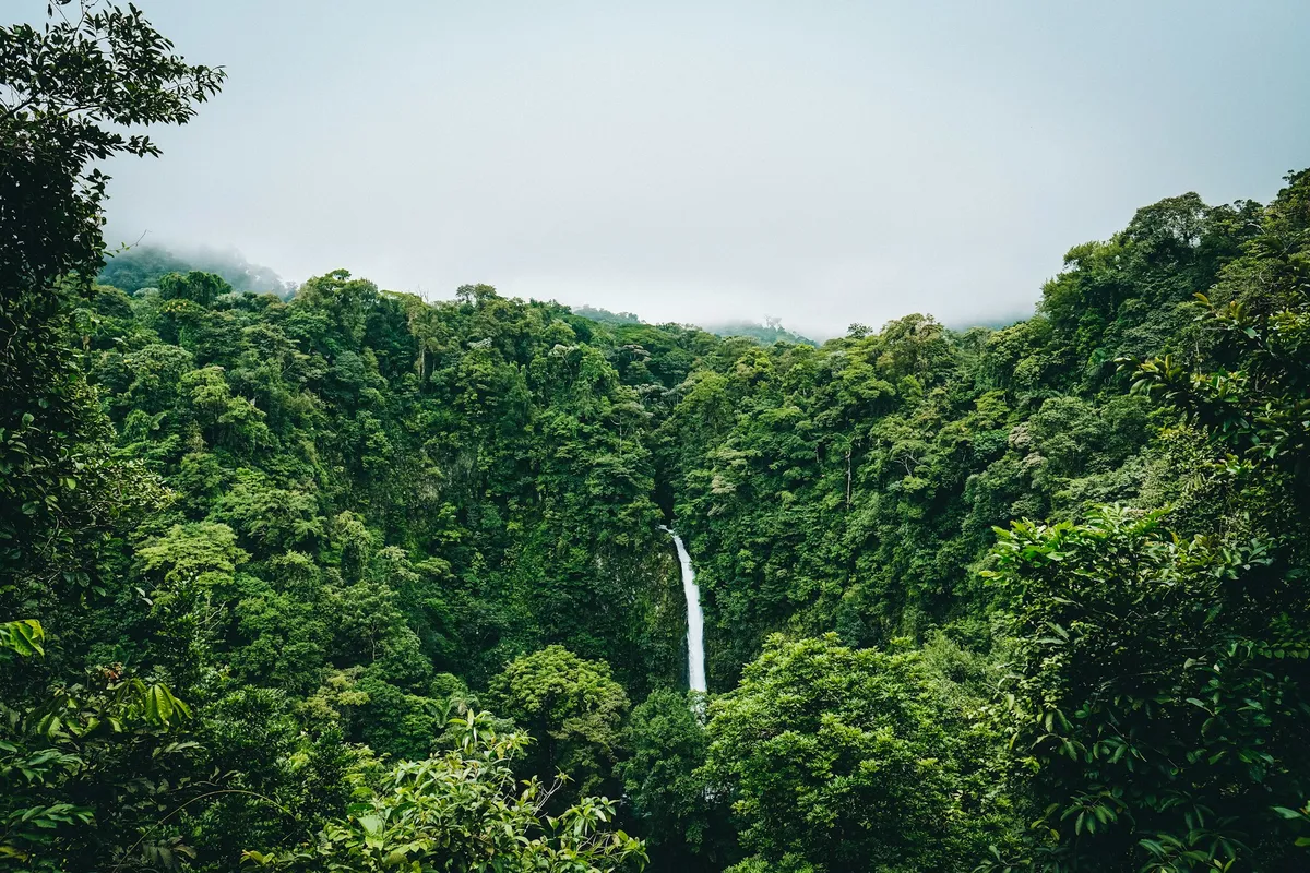 A tall waterfall cascading through dense green rainforest with misty mountains behind, Costa Rica